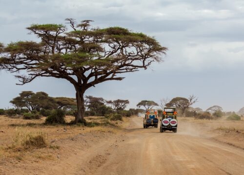 Kenya’s Most Scenic Safari Routes: Exploring the Country’s Natural Beauty