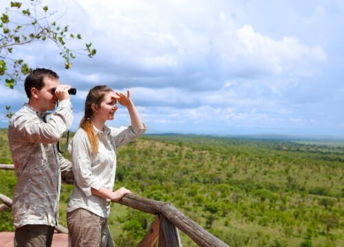 Kenya’s Best Kept Secrets: Unique Safari Experiences Beyond the Big Five