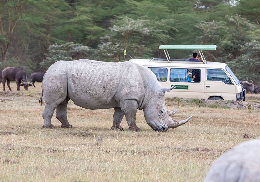 2 Days Olpejeta Conservation.