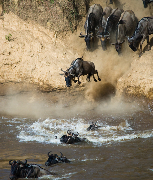 Maasai Mara