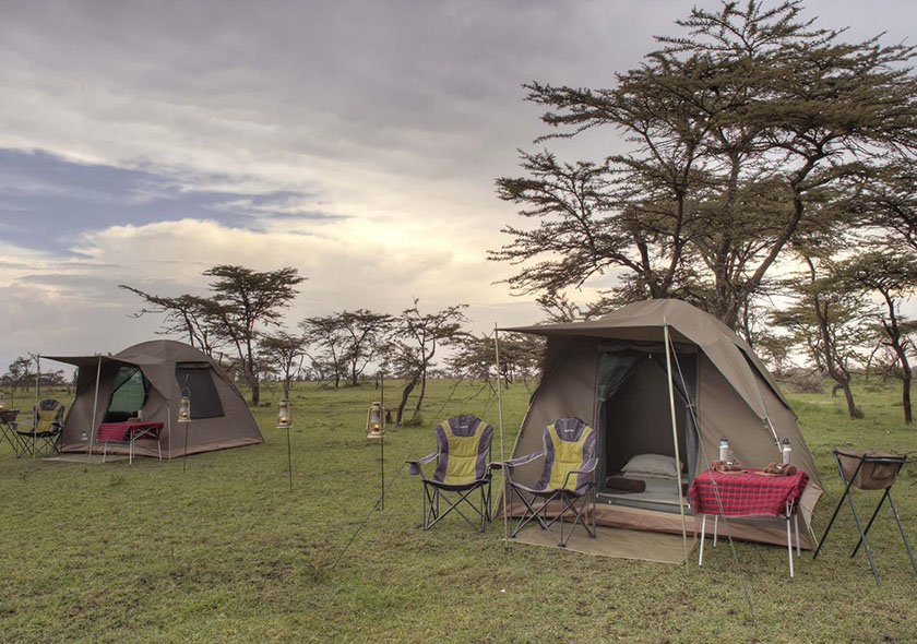 Camping Safaris