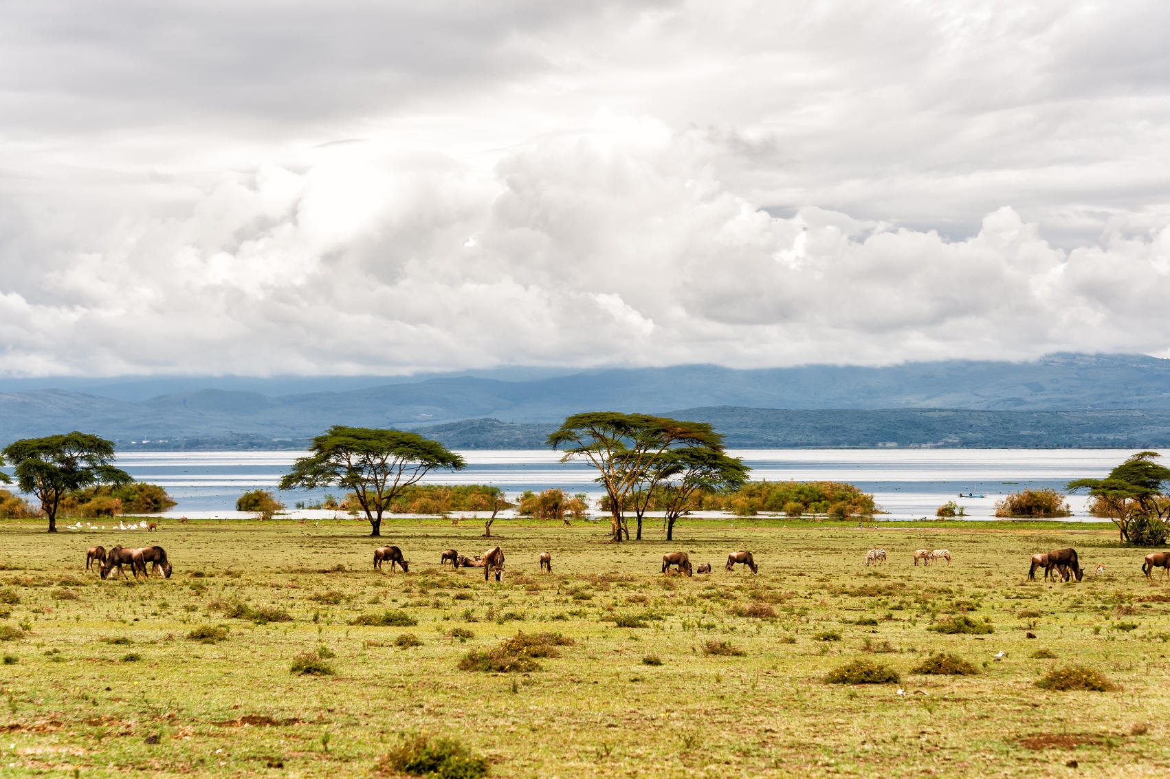 Lake Naivasha