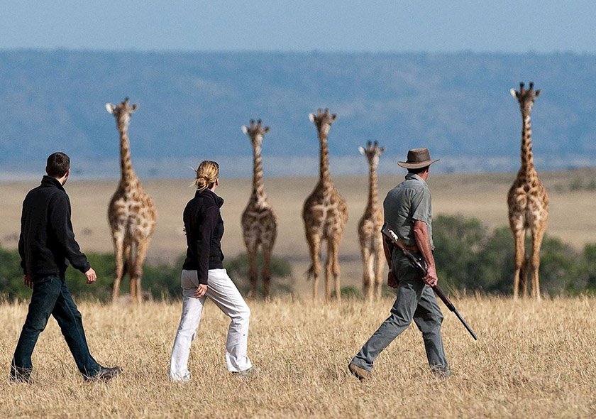 Walking Safaris